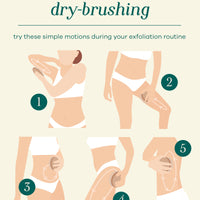 DRY BRUSH EXFOLIATOR