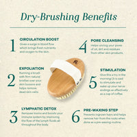 DRY BRUSH EXFOLIATOR